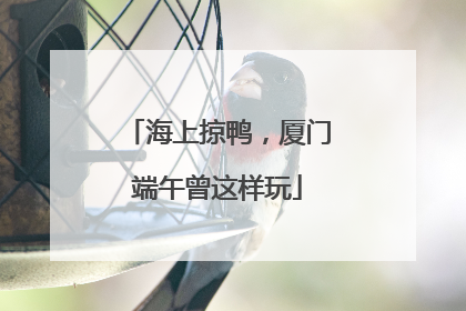海上掠鸭，厦门端午曾这样玩