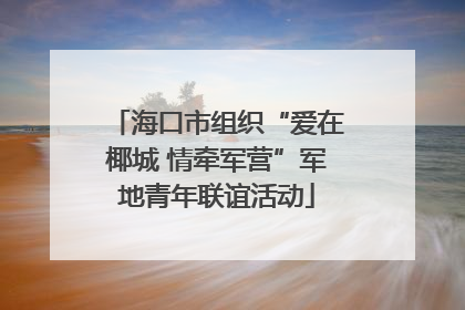 海口市组织“爱在椰城 情牵军营”军地青年联谊活动