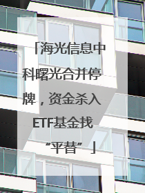 海光信息中科曙光合并停牌，资金杀入ETF基金找“平替”