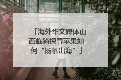 海外华文媒体山西临猗探寻苹果如何“扬帆出海”