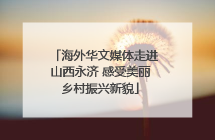 海外华文媒体走进山西永济 感受美丽乡村振兴新貌