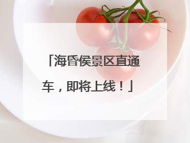 海昏侯景区直通车，即将上线！