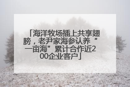 海洋牧场插上共享翅膀，老尹家海参认养“一亩海”累计合作近200企业客户
