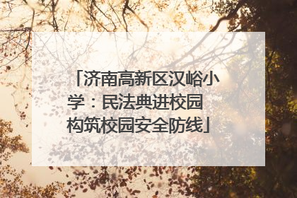 济南高新区汉峪小学：民法典进校园 构筑校园安全防线