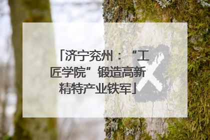 济宁兖州：“工匠学院”锻造高新精特产业铁军