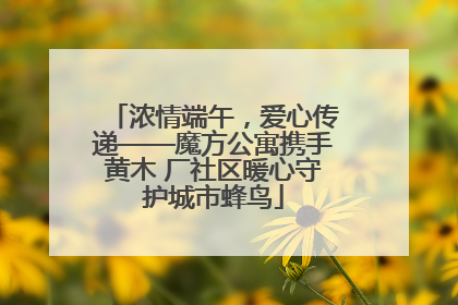 浓情端午，爱心传递——魔方公寓携手黄木 厂社区暖心守护城市蜂鸟