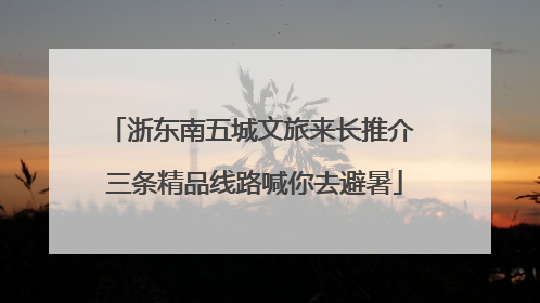 浙东南五城文旅来长推介 三条精品线路喊你去避暑