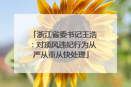 浙江省委书记王浩：对顶风违纪行为从严从重从快处理