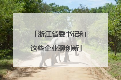 浙江省委书记和这些企业聊创新