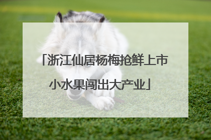 浙江仙居杨梅抢鲜上市 小水果闯出大产业