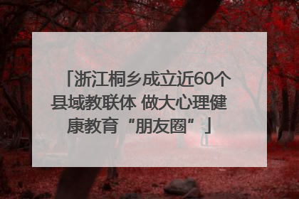 浙江桐乡成立近60个县域教联体 做大心理健康教育“朋友圈”