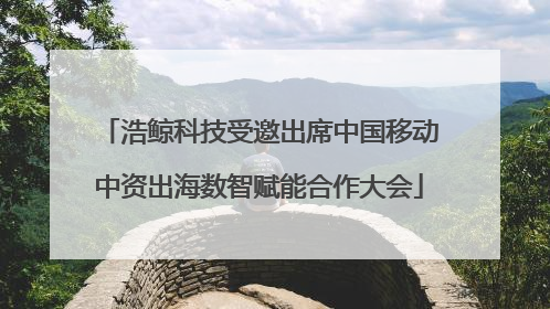 浩鲸科技受邀出席中国移动中资出海数智赋能合作大会