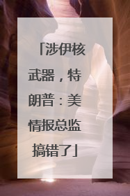 涉伊核武器，特朗普：美情报总监搞错了