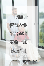 淮滨：智慧农业平台跑出麦收“加速度”