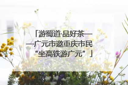 游蜀道·品好茶——广元市邀重庆市民“坐高铁游广元”