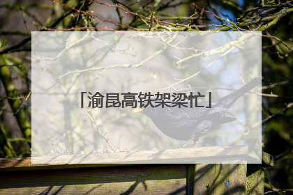 渝昆高铁架梁忙