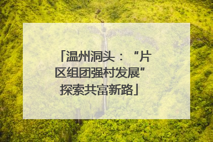 温州洞头：“片区组团强村发展”探索共富新路