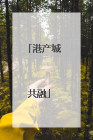 港产城共融