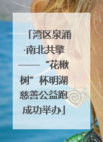 湾区泉涌·南北共擎——“花楸树”杯明湖慈善公益跑成功举办