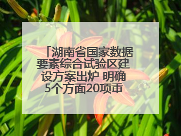 湖南省国家数据要素综合试验区建设方案出炉 明确5个方面20项重点任务
