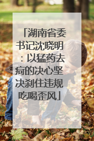 湖南省委书记沈晓明：以猛药去疴的决心坚决刹住违规吃喝歪风