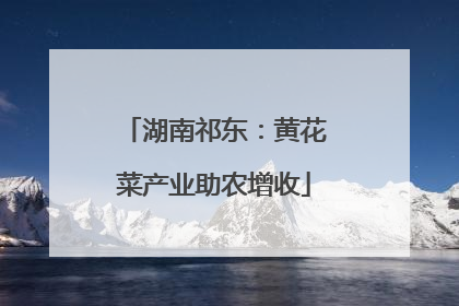 湖南祁东：黄花菜产业助农增收