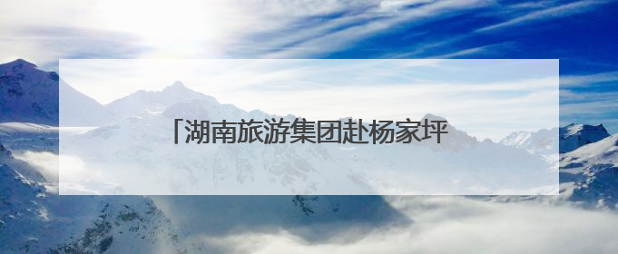 湖南旅游集团赴杨家坪村调研乡村振兴工作