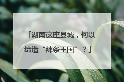 湖南这座县城，何以缔造“辣条王国”？