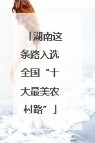 湖南这条路入选全国“十大最美农村路”