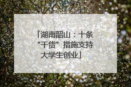湖南韶山：十条“干货”措施支持大学生创业