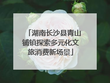 湖南长沙县青山铺镇探索多元化文旅消费新场景