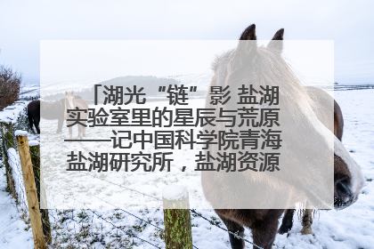 湖光“链”影 盐湖实验室里的星辰与荒原——记中国科学院青海盐湖研究所，盐湖资源化学实验室党总支书记、副主任刘忠