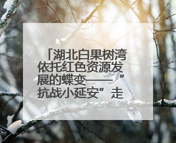 湖北白果树湾依托红色资源发展的蝶变——“抗战小延安”走上农旅融合振兴路