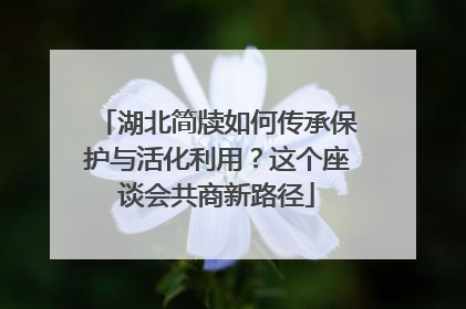 湖北简牍如何传承保护与活化利用？这个座谈会共商新路径