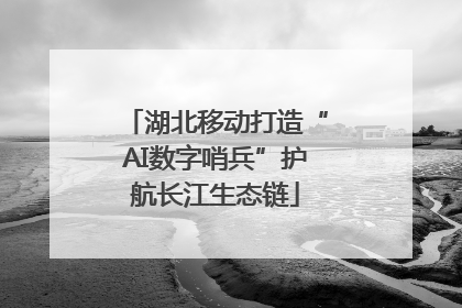 湖北移动打造“AI数字哨兵”护航长江生态链