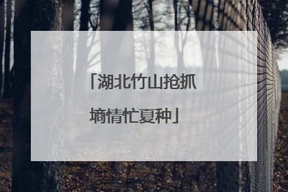 湖北竹山抢抓墒情忙夏种