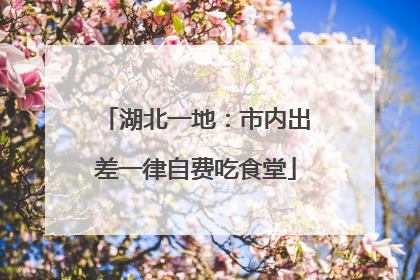 湖北一地：市内出差一律自费吃食堂