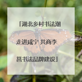 湖北乡村书法潮走进咸宁 共商李邕书法品牌建设