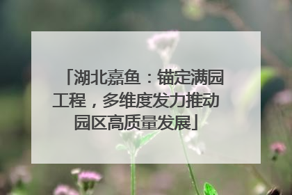 湖北嘉鱼：锚定满园工程，多维度发力推动园区高质量发展