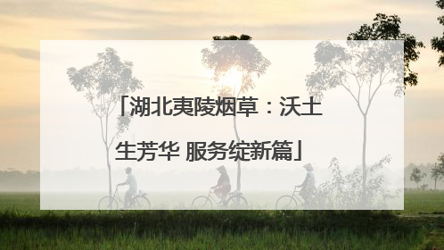 湖北夷陵烟草：沃土生芳华 服务绽新篇