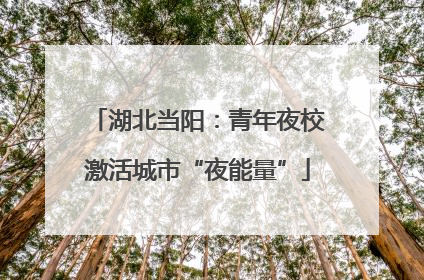 湖北当阳：青年夜校激活城市“夜能量”
