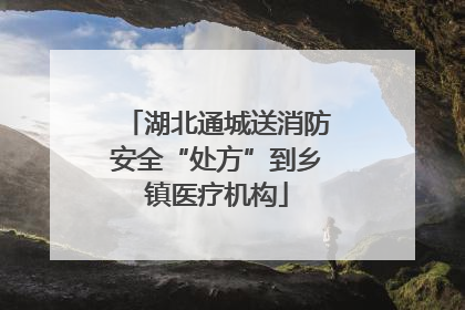 湖北通城送消防安全“处方”到乡镇医疗机构