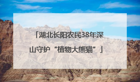 湖北长阳农民38年深山守护“植物大熊猫”