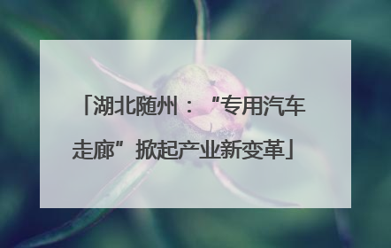 湖北随州：“专用汽车走廊”掀起产业新变革