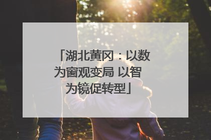 湖北黄冈：以数为窗观变局 以智为镜促转型