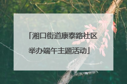 湘口街道康泰路社区举办端午主题活动