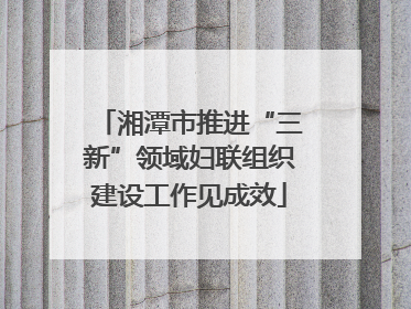 湘潭市推进“三新”领域妇联组织建设工作见成效