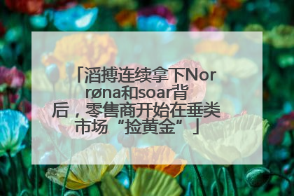 滔搏连续拿下Norrøna和soar背后，零售商开始在垂类市场“捡黄金”