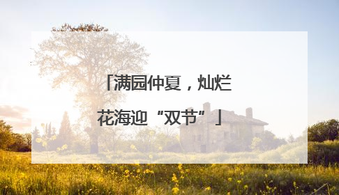 满园仲夏，灿烂花海迎“双节”