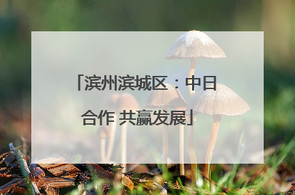 滨州滨城区：中日合作 共赢发展